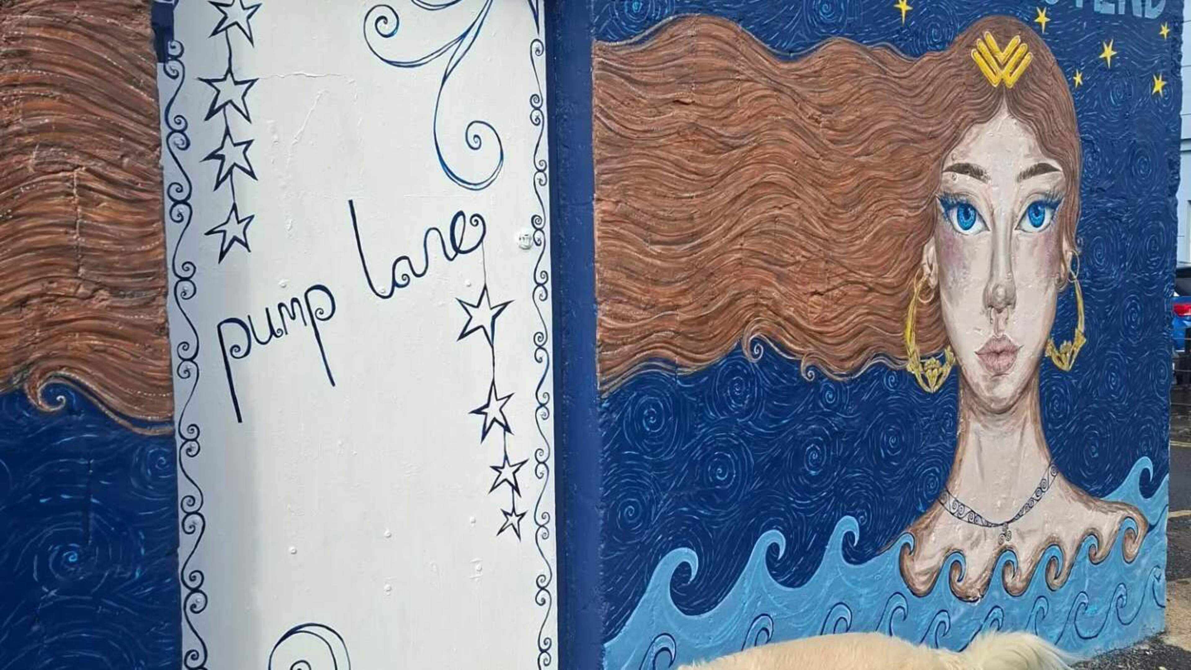 Galway city laneway transformed into vibrant open-air gallery by local artists